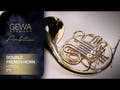 GEWA Ambition HR501 cor d’harmonie double, laqué
