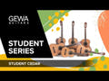 Guitare classique électro-acoustique GEWA Student Cedar - électro-acoustique noire