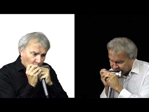 Suzuki SCX-48 12-trous Chromatique Harmonicas (C)