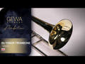 GEWA Ambition TB502 trombone ténor en Sib, vernis transparent