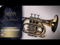 GEWA Ambition PT650 trompette de poche en Sib, finition claire