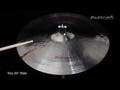 Masterwork Troy 20" Rides