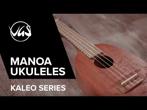 Ukulélé ténor GEWA Manoa Kaleo - E-A Tenor (Sapelli mat)