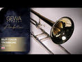 GEWA Ambition TB503B basson ténor Bb/F, finition brillante