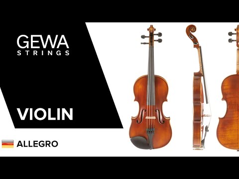 GEWA Violons Allegro - 1/4 (Prêt à jouer, étui de violon inclus, sans archet, avec cordes Larsen Aurora)