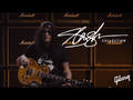Epiphone Slash Les Paul Standard Guitare électrique (November Burst)