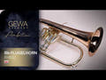 GEWA Ambition FH501 bugle en Sib, finition laquée transparente