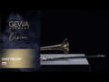 GEWA Vision TB236F trombone ténor en Sib/F, pavillon en laiton jaune