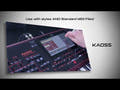 Korg PA-1000 Craviers (Bordeux)