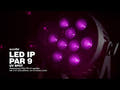 EUROLITE LED IP PAR 9 UV projecteur