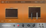 UAD Guitar Amp Bundle