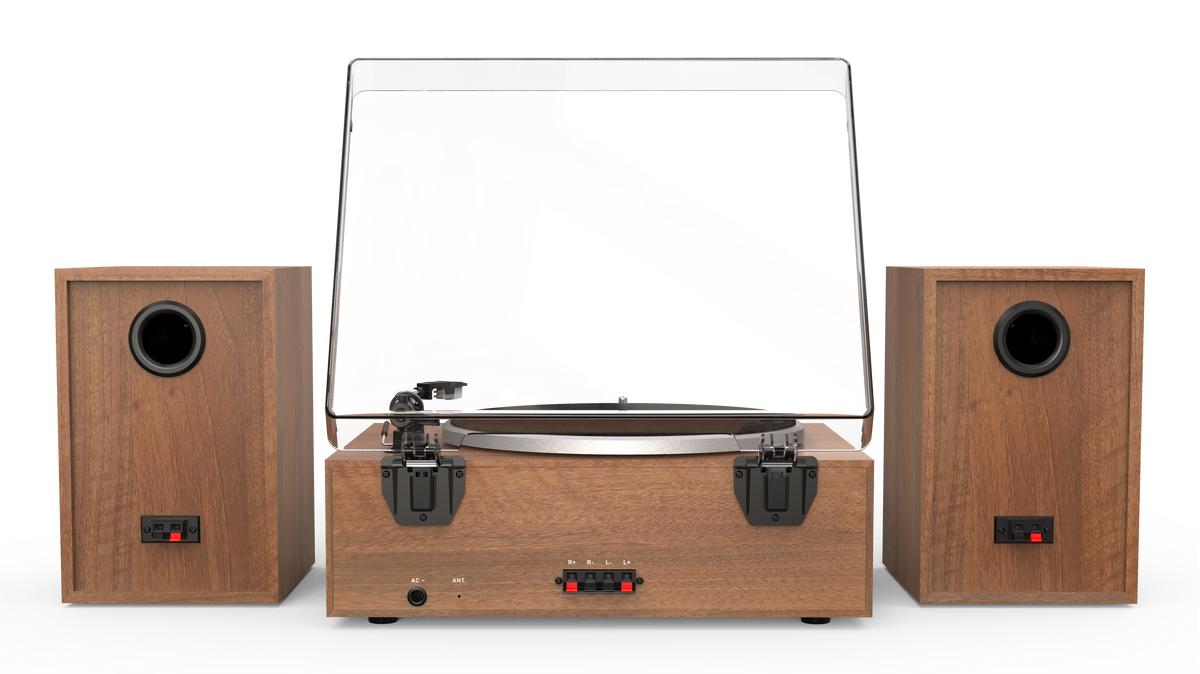 Aiwa LPS-1WD système de platine vinyle