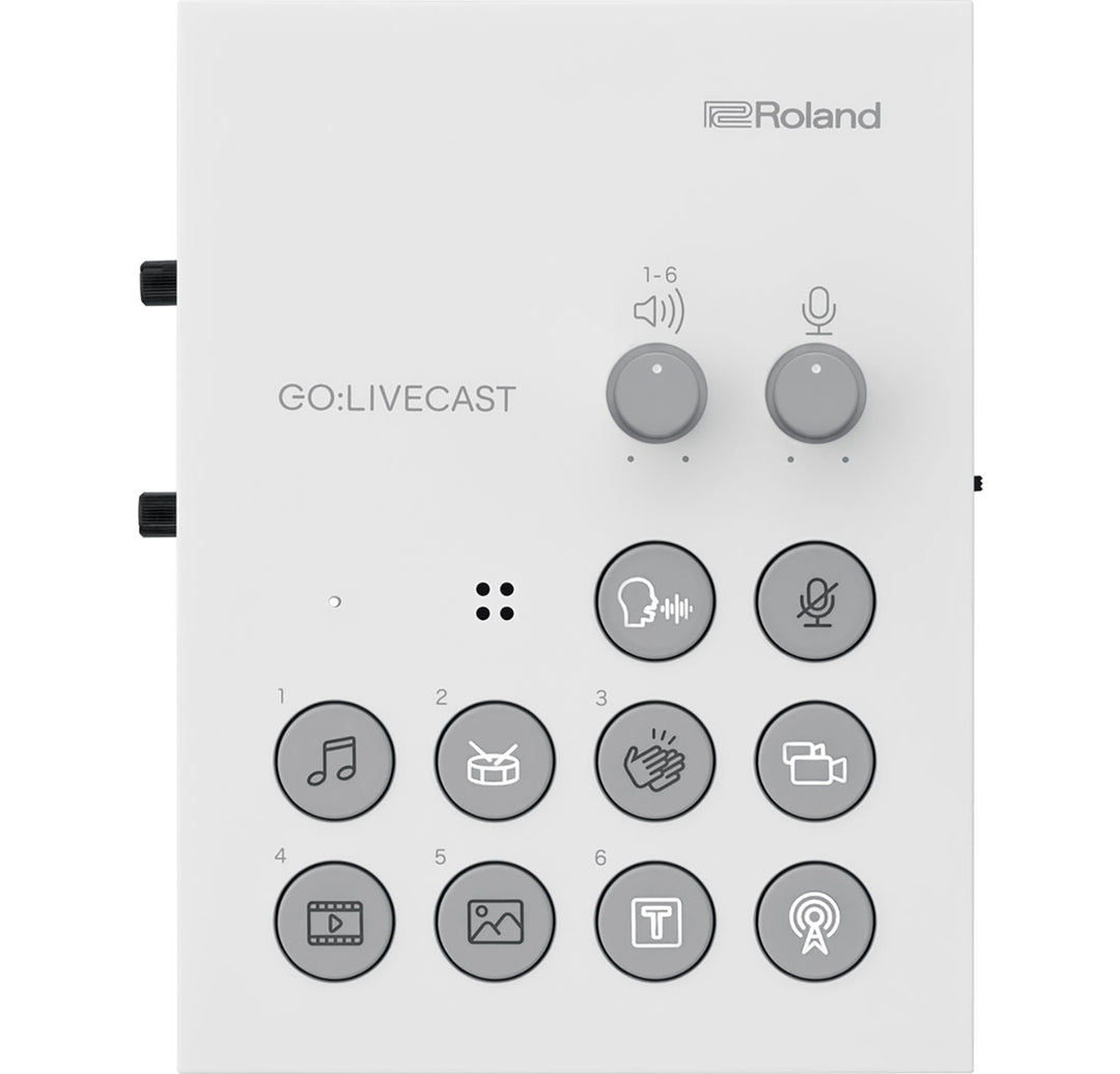 Roland GO:LIVECAST Interfaces audio