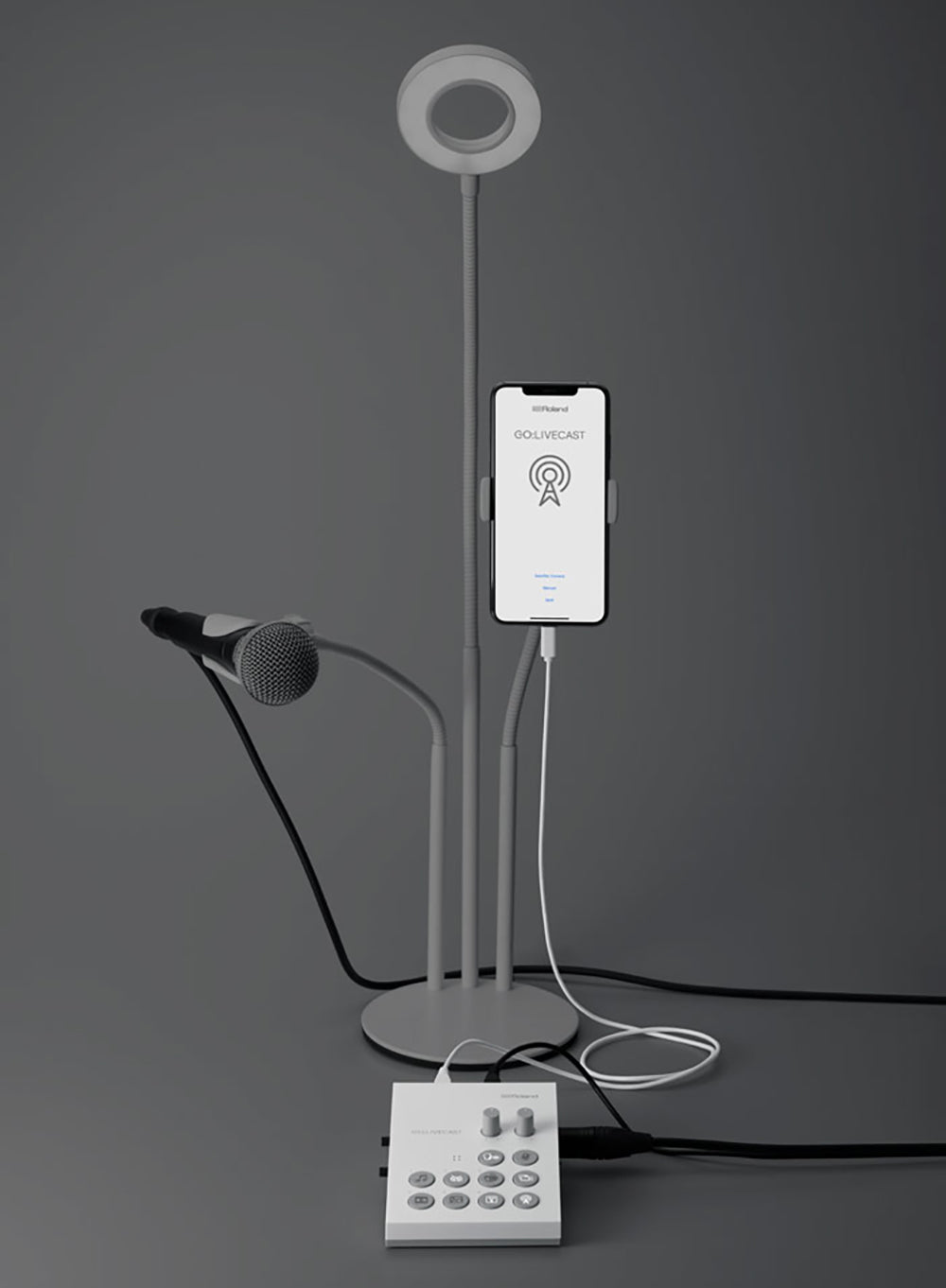 Roland GO:LIVECAST Interfaces audio