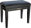 Roland RPB-220BK Piano bench, black