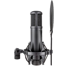 sE Electronics sE2200 Microphones Studio à Condensateur