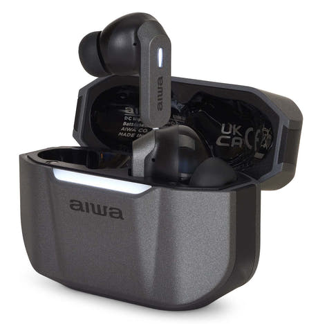 Écouteurs TWS Aiwa ETWS-330TN, Titane