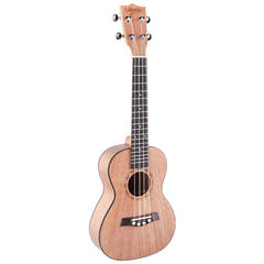 V-Tone UK23 Wood Ukulélé 23 avec étui et accessoires