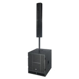 Système Karaoké avec 2 microphones (Noir)