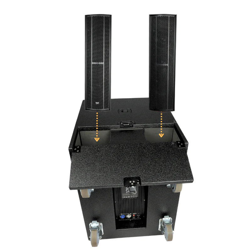 Système Karaoké avec 2 microphones (Noir)