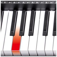 V-TONE VK-500 61L Craviers – 61 touches avec fonction d'apprentissage LED pour enfants et débutants