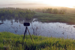 Boom Swamp Stéréo